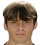 https://img.520xuexiziliao.com/img/football/player/66ee2f2d03990d02597a75f37d86f3d0.png